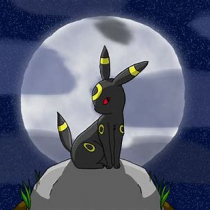 Noctali59430