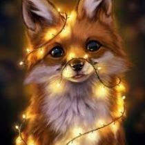 Odycat