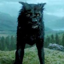 SiriusBlack
